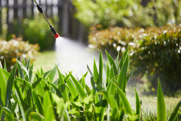Tamper-Resistant Bait Stations for Rodents in North Eastham