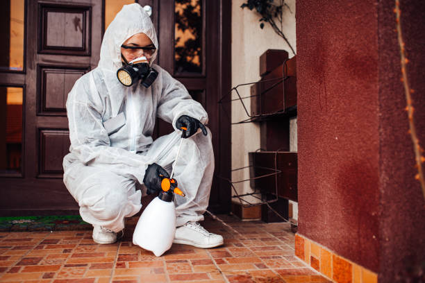 Attic and Crawl Space Rodent Treatment in North Eastham
